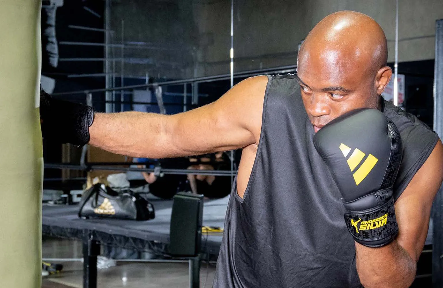 Adidas x Anderson Silva Everyday Use Boxing Gloves