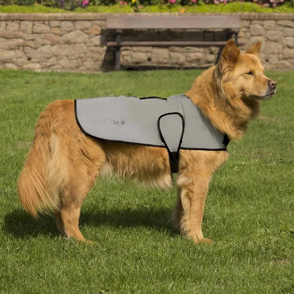 Proviz RELFECT360 Dog Coat