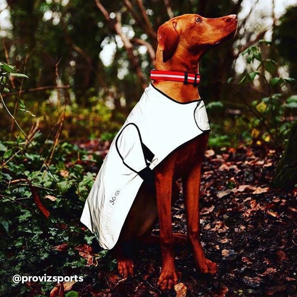 Proviz RELFECT360 Dog Coat